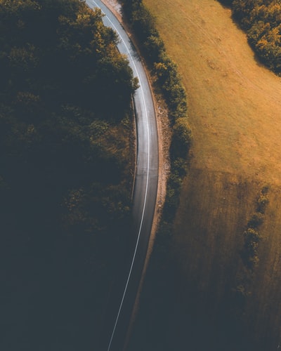 日间树木环绕的灰色道路航拍照片